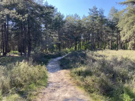Boshuisje, Maison 4 personnes à Lille - Photo 40