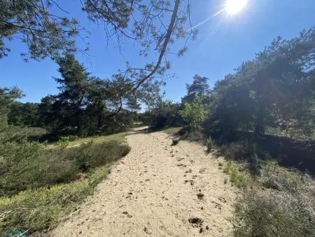 Boshuisje, Maison 4 personnes à Lille - Photo 41