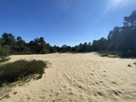 Boshuisje, Maison 4 personnes à Lille - Photo 42