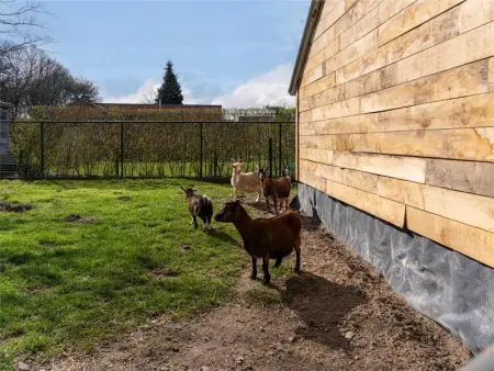 Het Bruegelhof, Maison 20 personnes à Peer - Photo 18
