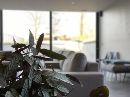 Villa Mareon, Villa 24 personnes à Maarkedal - Photo 54