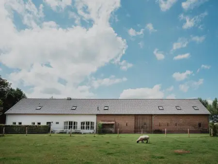 Caprice - Maldegem, Maison 10 personnes à Maldegem - Photo 25