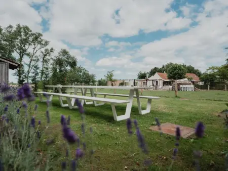 Caprice - Maldegem, Maison 10 personnes à Maldegem - Photo 28