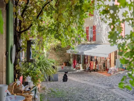 La petite maison de la ferme rose, Maison 4 personnes à Moustiers Sainte Marie - Photo 32