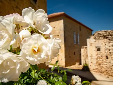 Maison Girou Haut, Maison 4 personnes à Montcabrier - Photo 32