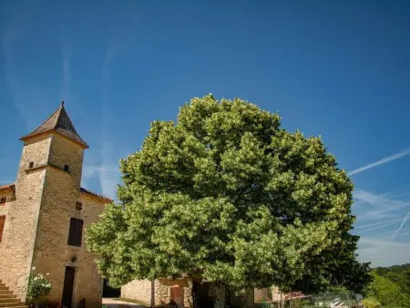 Maison Girou Haut, Maison 4 personnes à Montcabrier - Photo 35