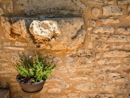 Maison Girou Haut, Maison 4 personnes à Montcabrier - Photo 40