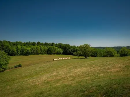 Maison Girou Haut, Maison 4 personnes à Montcabrier - Photo 44