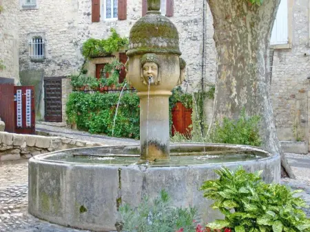 Le Mas Romarin, Maison 6 personnes à Beaumes de Venise - Photo 51