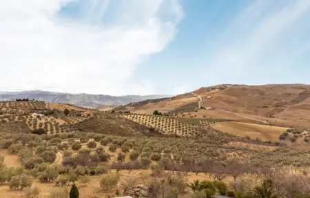 Location Maison 4 personnes à Antequera - Photo 8