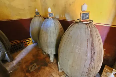 Bachi da Seta, Ferme rustique à Todi avec piscine - Photo 22