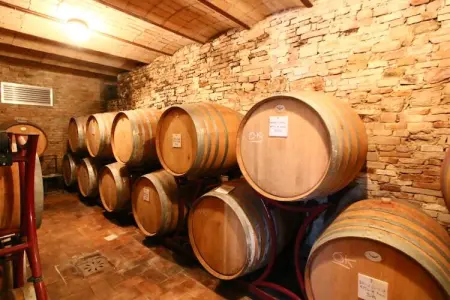 Bachi da Seta, Ferme rustique à Todi avec piscine - Photo 23