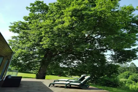 Superbe maison de vacances pour 15 adultes située à Champagne Le chêne et l'eau - Photo 44