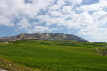 El Hortelano, Belle villa en Andalousie près de la forêt - Photo 26