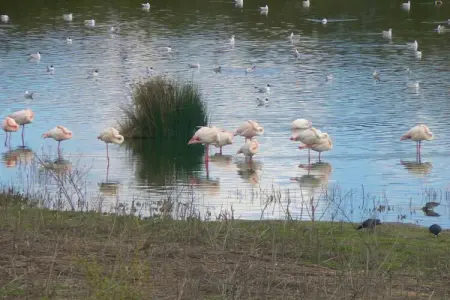 El Hortelano, Belle villa en Andalousie près de la forêt - Photo 27