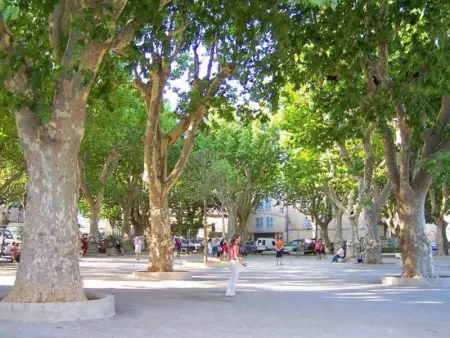 Les Dourets, Maison 6 personnes à Saint Antonin du Var - Photo 17