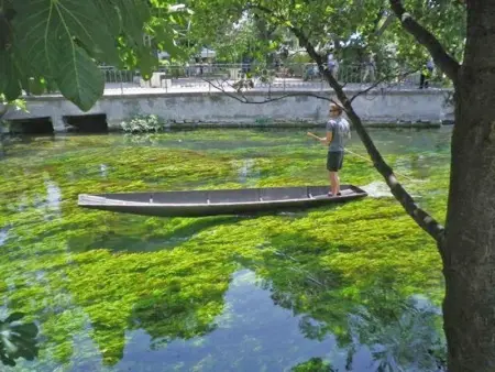 Les Platanes, Maison 4 personnes à L'Isle sur la Sorgue - Photo 22