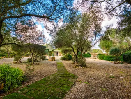 Es Rafalet, Maison 8 personnes à Llucmajor - Photo 51