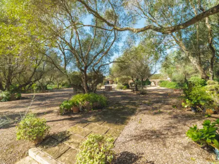 Es Rafalet, Maison 8 personnes à Llucmajor - Photo 54