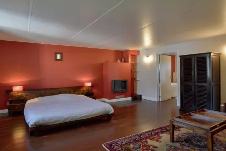 Château Froidthier, Château confortable à Thimister-Clermont avec piscine - Photo 22