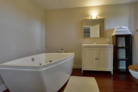 Château Froidthier, Château confortable à Thimister-Clermont avec piscine - Photo 24