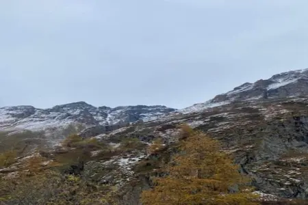 Village de Vacances Oignies 6, Chalet moderne en bois avec cuisinière, situé en forêt - Photo 26