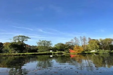 Village de Vacances Oignies 6, Chalet moderne en bois avec cuisinière, situé en forêt - Photo 29