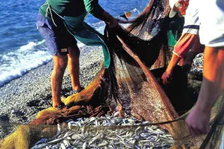 Residence Morelli Pietra Ligure - B4, Appartement 4 personnes à Pietra Ligure - Photo 13