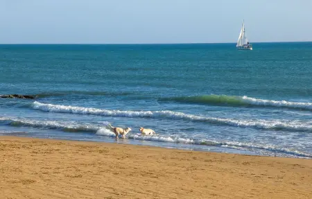 Location Maison 8 personnes à Modica - Photo 31