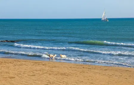 Location Maison 6 personnes à Santa Croce Camerina - Photo 8