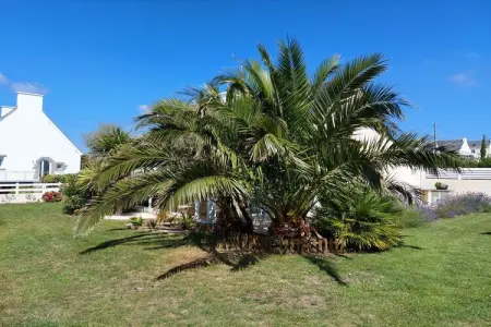 Ferienhaus in unmittelbarer Meernähe Plouhinec, Maison 4 personnes à Plouhinec   Finistère - Photo 20