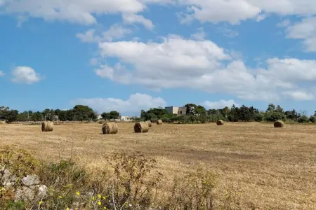 Plaia Resort 1, Maison de vacances rafraîchissante à Favignana avec piscine - Photo 29