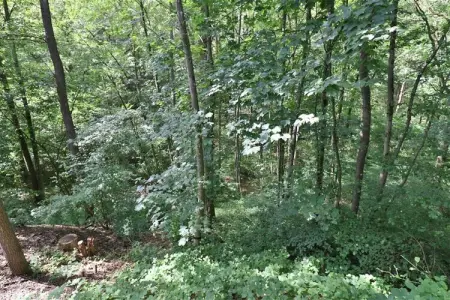 Chalet Choufken, Chalet 9 personnes à Durbuy - Photo 23