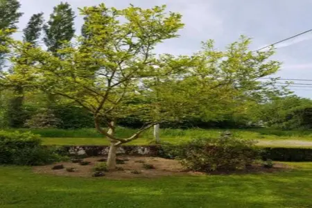 Chalet Choufken, Chalet 9 personnes à Durbuy - Photo 30