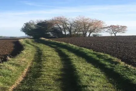 Chalet Choufken, Chalet 9 personnes à Durbuy - Photo 35