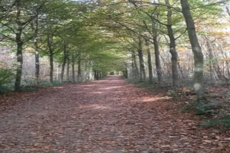 Chalet Choufken, Chalet 9 personnes à Durbuy - Photo 38