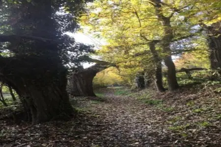Chalet Choufken, Chalet 9 personnes à Durbuy - Photo 39