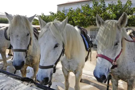 Ferienwohnung in Bellegarde / Les Santolines, Appartement 2 personnes à Bellegarde - Photo 19