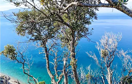 Location Appartement 4 personnes à Nisportino - Photo 17