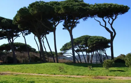 Location Appartement 5 personnes à Follonica - Photo 18