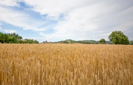 Location Maison 6 personnes à Lugnano in Teverina - Photo 35