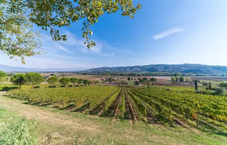 Location Maison 6 personnes à Lugnano in Teverina - Photo 36