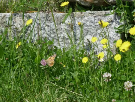 Rustico Bel Panorama, Maison 6 personnes à Malvaglia - Photo 19
