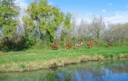 Location Maison 6 personnes à Aigues Mortes - Photo 28