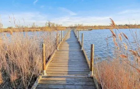 Location Maison 6 personnes à Aigues Mortes - Photo 29