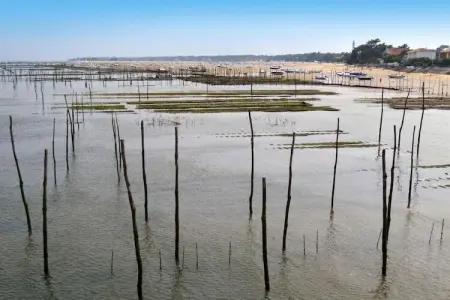 holiday home Lanton, Maison 5 personnes à Lanton - Photo 10