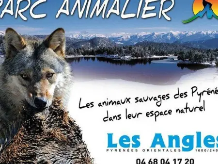 Charmant studio mezzanine avec WiFi, coin cabine, proche pistes, Les Angles - Photo 7