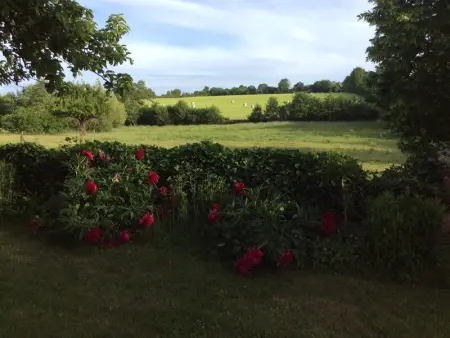 Gîte familial restauré en pleine nature avec terrasse, proche forêt, idéal pour groupes et PMR - Photo 22