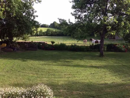Gîte familial restauré en pleine nature avec terrasse, proche forêt, idéal pour groupes et PMR - Photo 24
