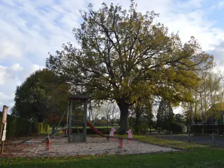 Maison éco-responsable avec terrasse, jardin privé et aménagement fauteuil roulant à Pouligny-Saint-Martin - Photo 19